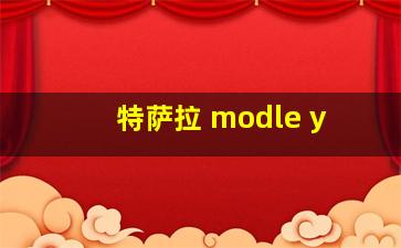 特萨拉 modle y